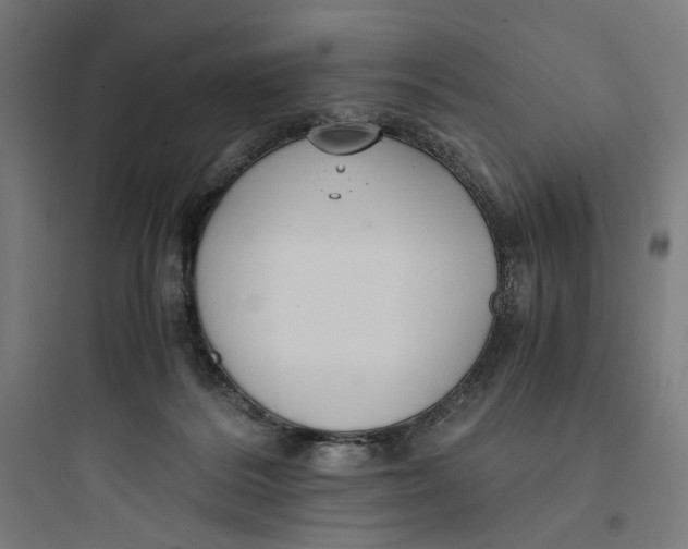 X0000093750220200711061055