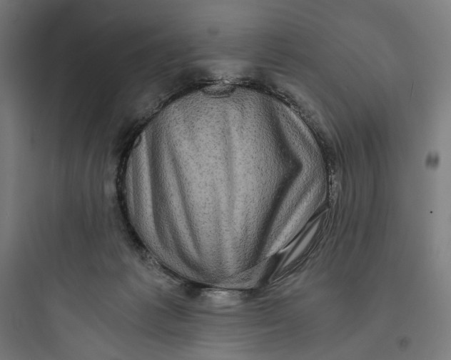 X0000093750221200711061055