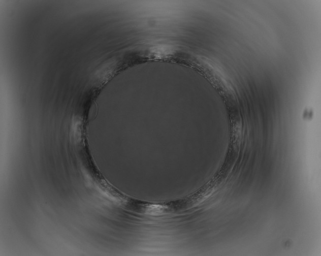 X0000093750222200711061055
