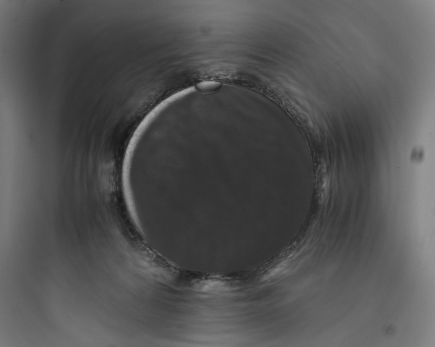 X0000093750224200711061055