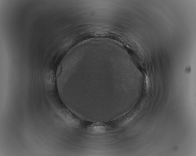 X0000093750228200711061055