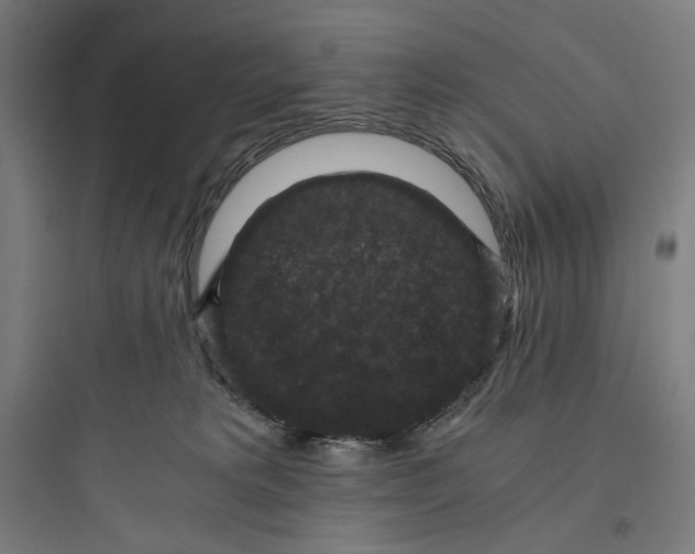 X0000093750229200711061055