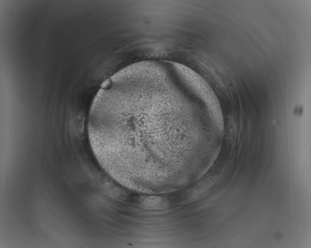 X0000093750230200711061055