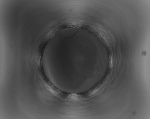 X0000093750231200711061055