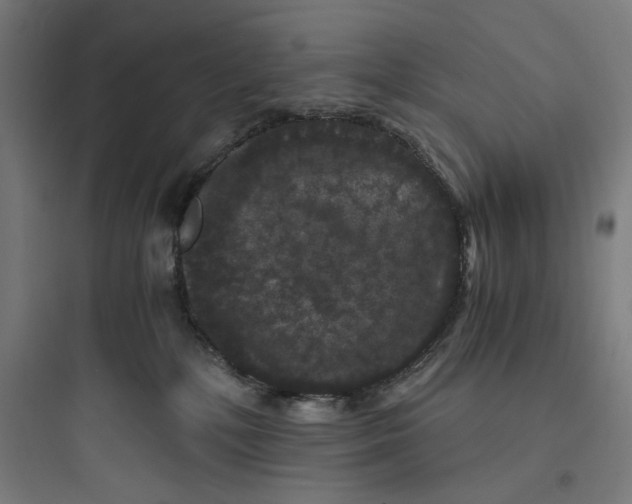 X0000093750232200711061055