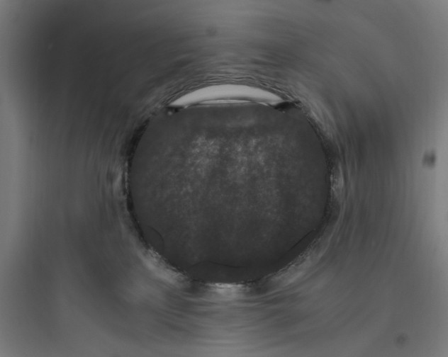 X0000093750233200711061055