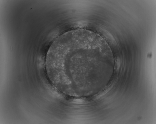 X0000093750236200711061055