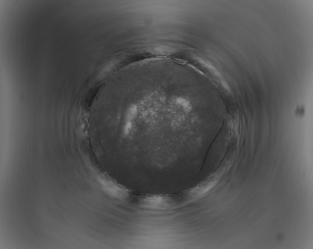 X0000093750237200711061055