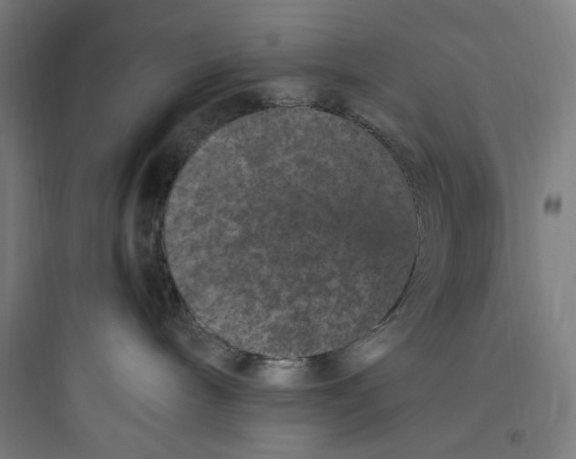 X0000093750240200711061055