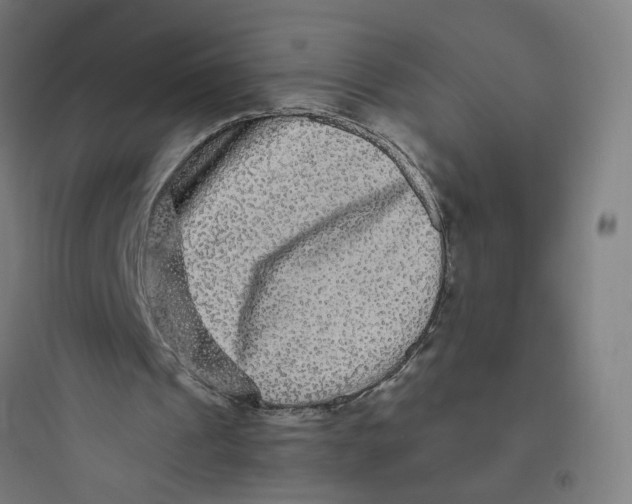 X0000093750241200711061054