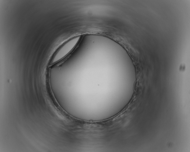 X0000093750242200711061054