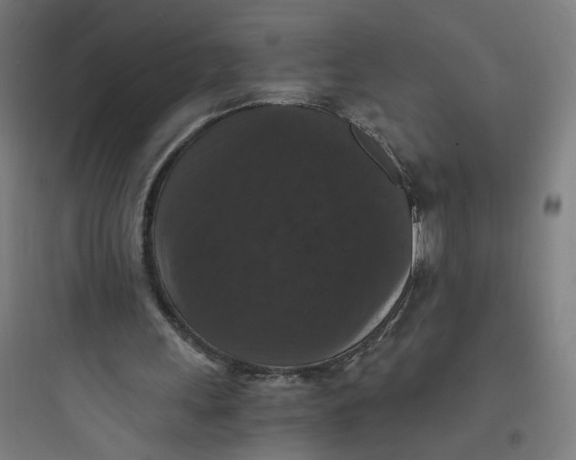 X0000093750243200711061054