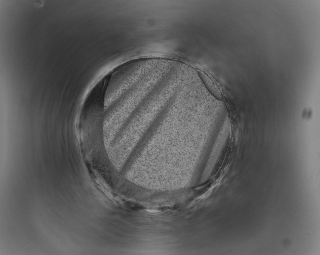 X0000093750244200711061054