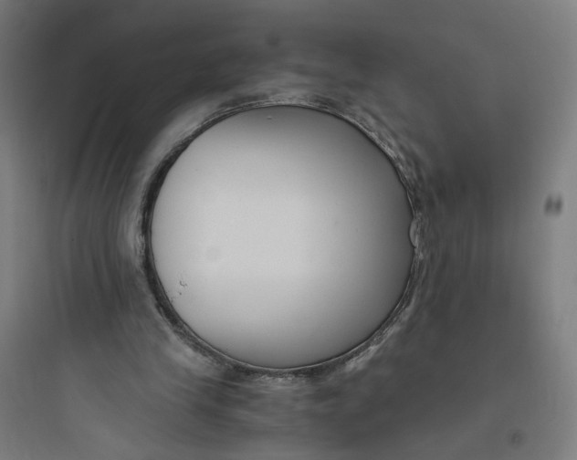 X0000093750245200711061054