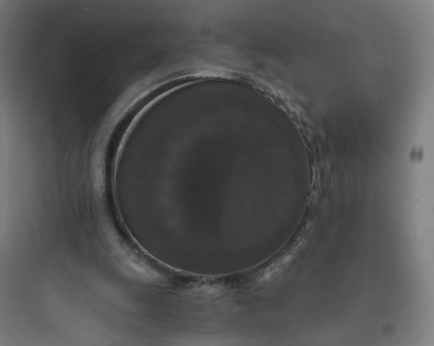 X0000093750247200711061055