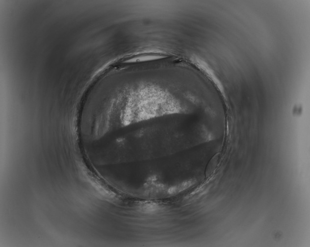 X0000093750249200711061055