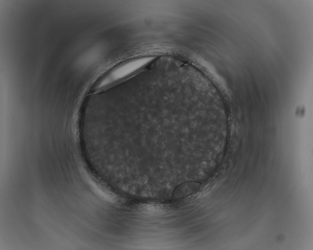 X0000093750250200711061055