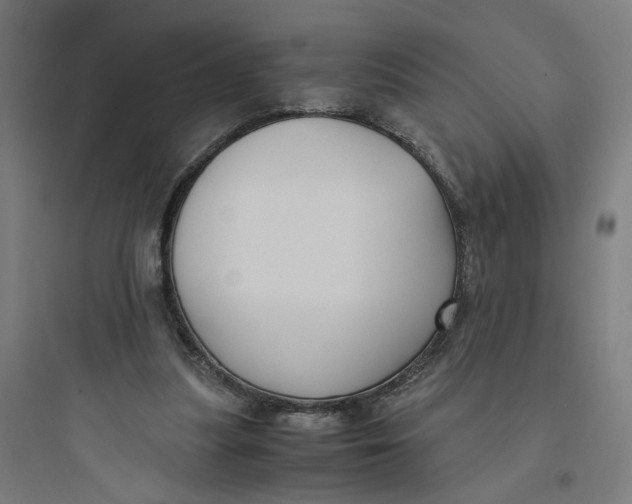 X0000093750251200711061055