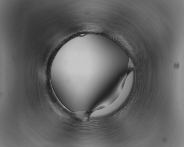 X0000093750252200711061055