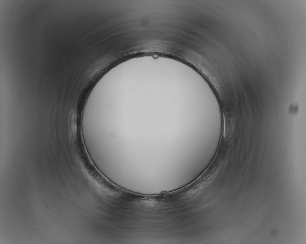 X0000093750253200711061055