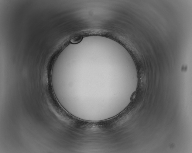 X0000093750254200711061055