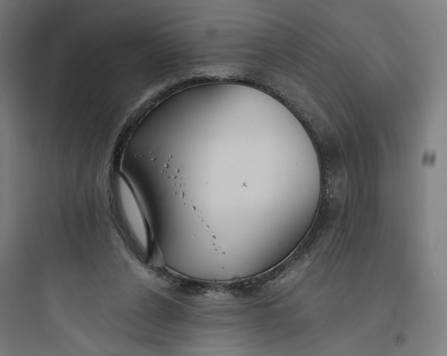 X0000093750256200711061055