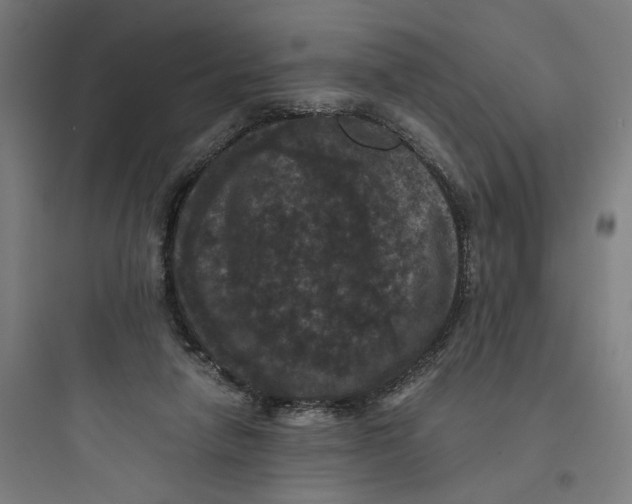 X0000093750258200711061055