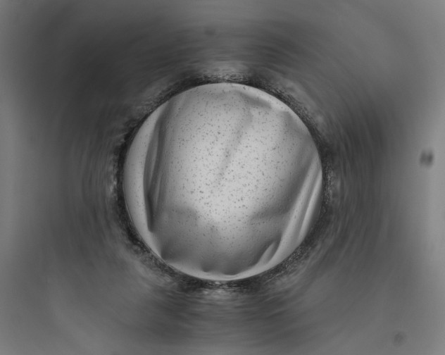 X0000093750259200711061055