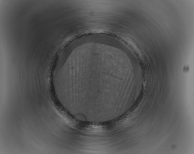 X0000093750260200711061055