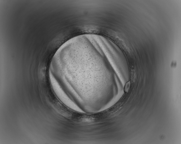 X0000093750263200711061055