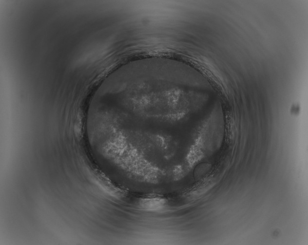 X0000093750266200711061055