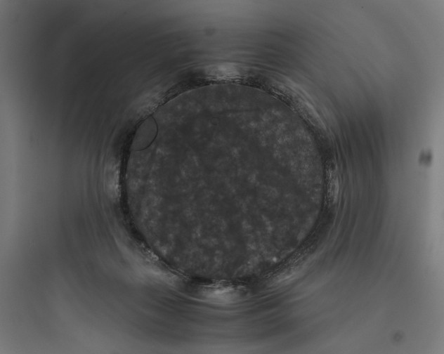 X0000093750267200711061055