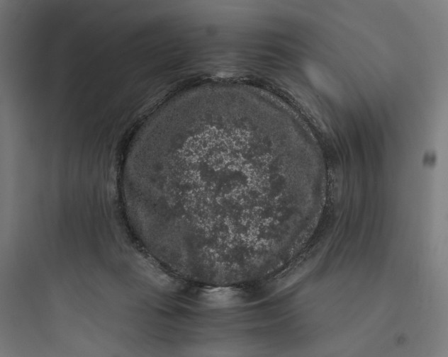X0000093750269200711061055