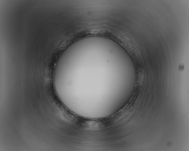 X0000093750272200711061055