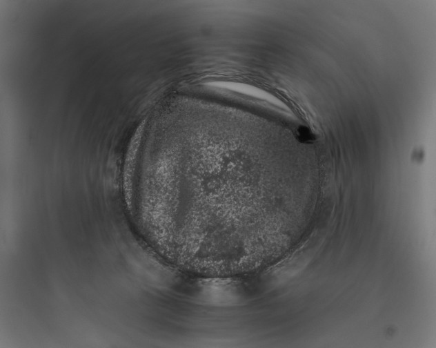 X0000093750273200711061055