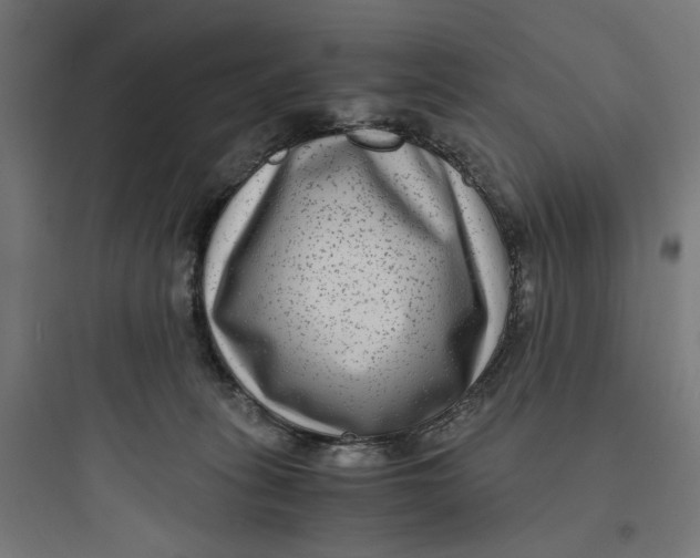 X0000093750275200711061055