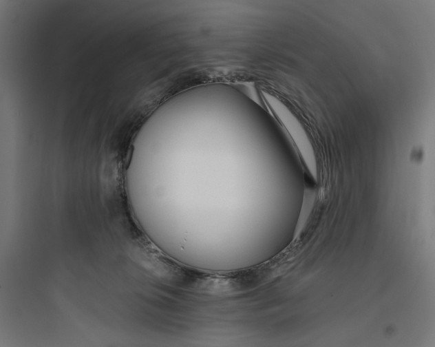 X0000093750276200711061055
