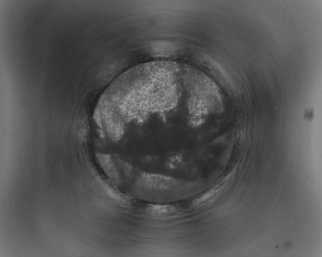X0000093750277200711061055