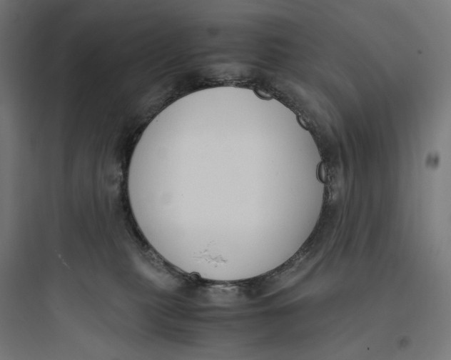 X0000093750279200711061055