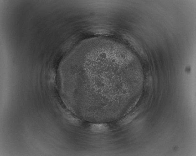 X0000093750281200711061055