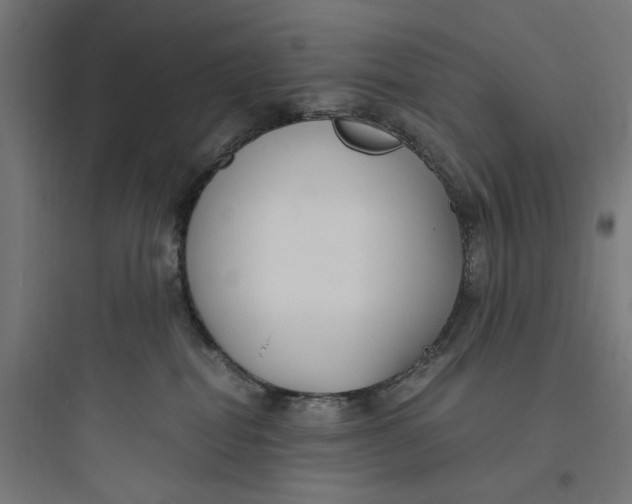 X0000093750282200711061055