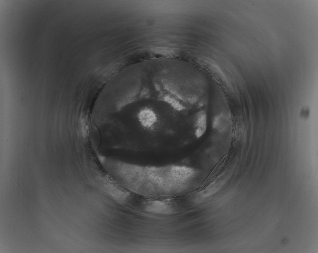 X0000093750285200711061055