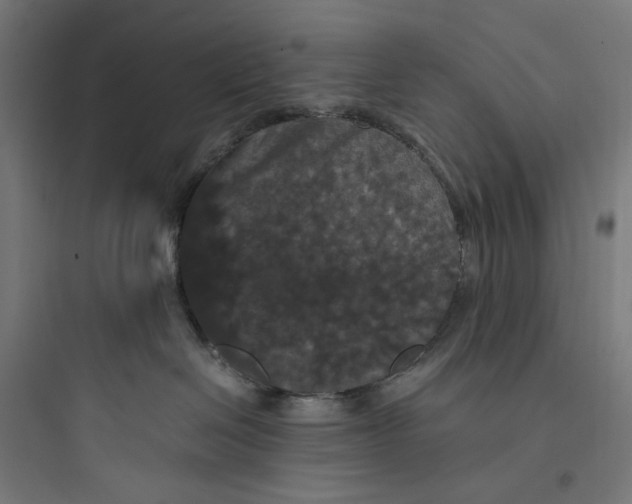 X0000093750286200711061055