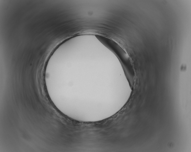 X0000093750289200711061054