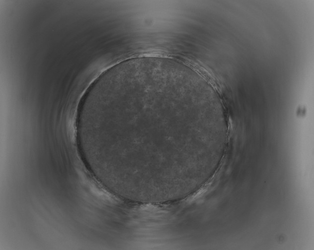 X0000093750290200711061054