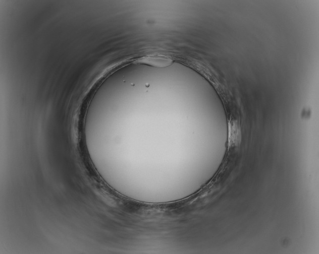 X0000093750291200711061054