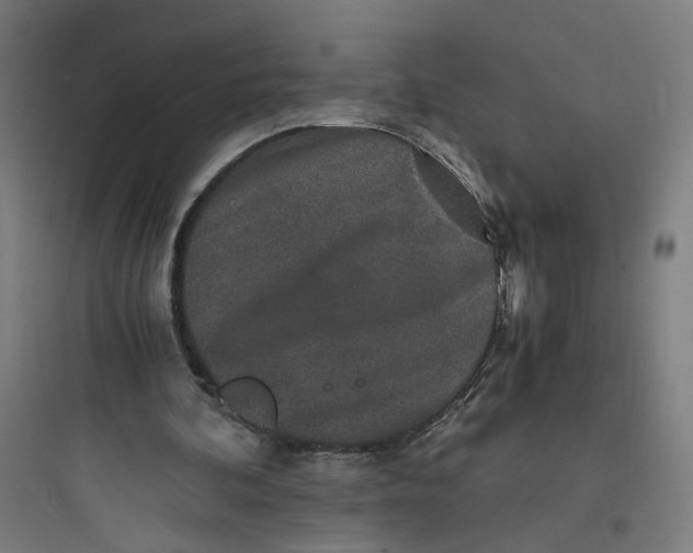 X0000093750292200711061054
