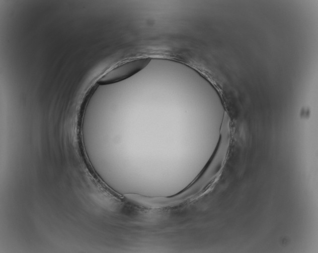 X0000093750293200711061054