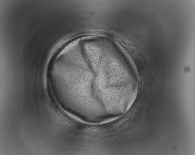 X0000093750294200711061054