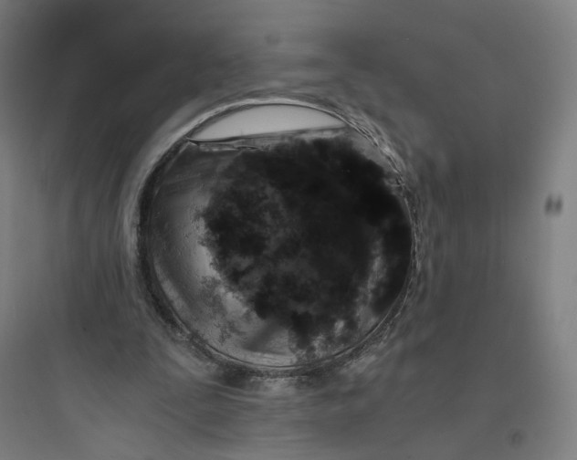 X0000093750295200711061054
